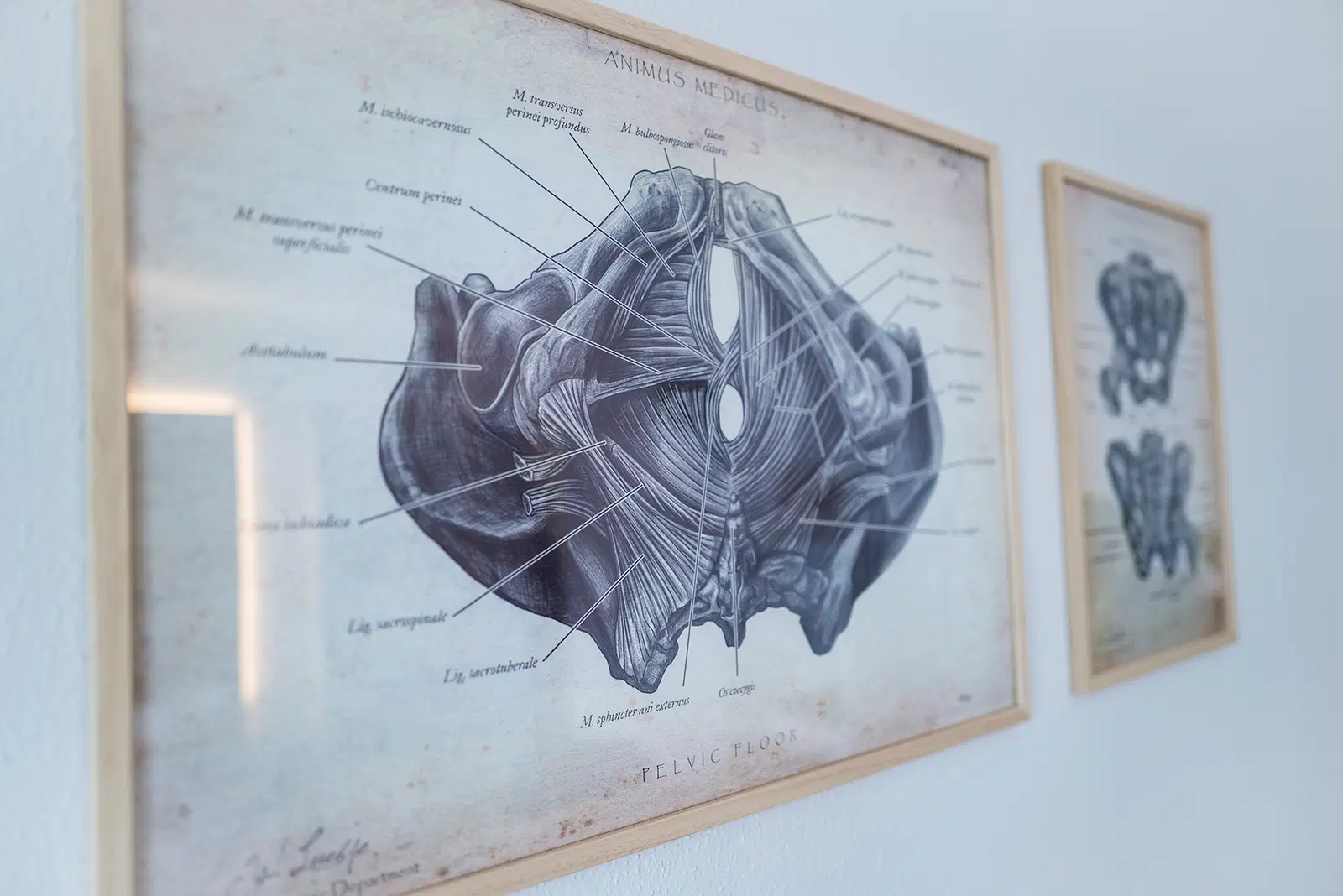 Privatpraxis an der Amper - Wandbild der Physiotherapie